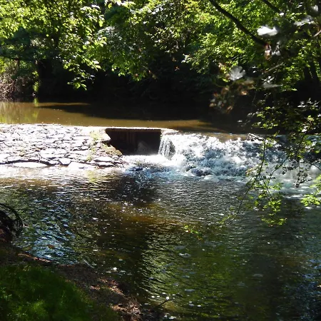 D'hote D'herisson